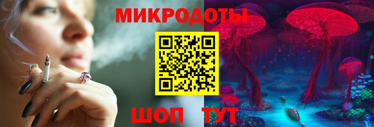 Галлюциногенные грибы Psilocybe Сорочинск